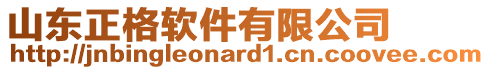 山東正格軟件有限公司