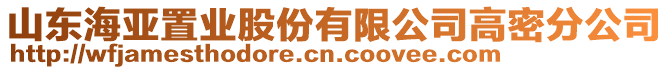 山東海亞置業(yè)股份有限公司高密分公司