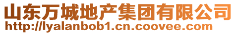 山東萬城地產(chǎn)集團(tuán)有限公司