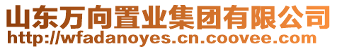 山東萬向置業(yè)集團(tuán)有限公司