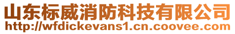 山東標(biāo)威消防科技有限公司