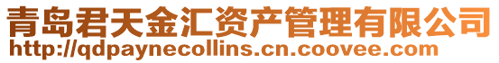 青島君天金匯資產管理有限公司