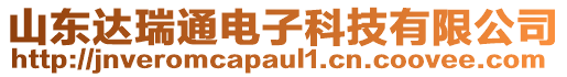 山東達(dá)瑞通電子科技有限公司
