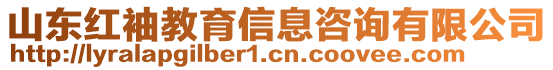 山東紅袖教育信息咨詢有限公司