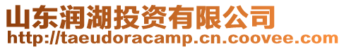 山東潤(rùn)湖投資有限公司