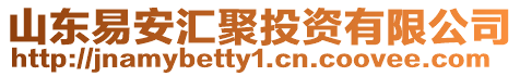 山東易安匯聚投資有限公司