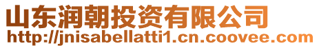 山東潤朝投資有限公司
