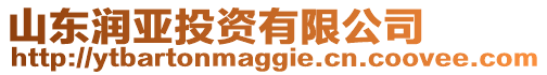 山東潤亞投資有限公司