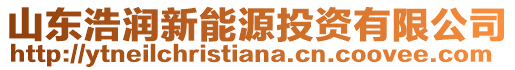 山東浩潤新能源投資有限公司