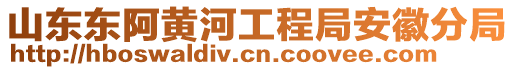 山东东阿黄河工程局安徽分局