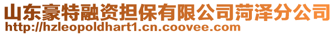 山東豪特融資擔(dān)保有限公司菏澤分公司