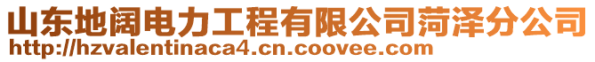 山東地闊電力工程有限公司菏澤分公司