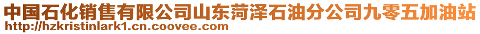 中國(guó)石化銷售有限公司山東菏澤石油分公司九零五加油站