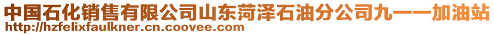 中國(guó)石化銷售有限公司山東菏澤石油分公司九一一加油站