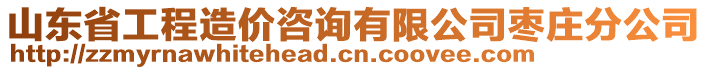 山東省工程造價咨詢有限公司棗莊分公司