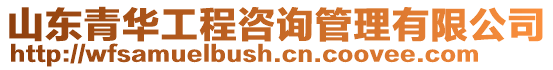 山東青華工程咨詢管理有限公司