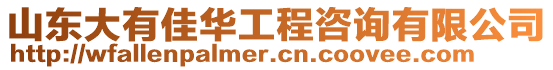 山東大有佳華工程咨詢有限公司