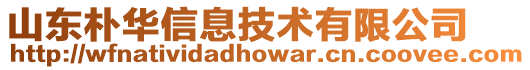 山東樸華信息技術有限公司