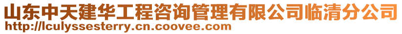 山東中天建華工程咨詢管理有限公司臨清分公司