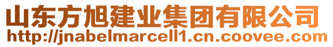 山東方旭建業集團有限公司