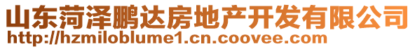 山東菏澤鵬達房地產(chǎn)開發(fā)有限公司