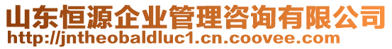 山東恒源企業(yè)管理咨詢有限公司