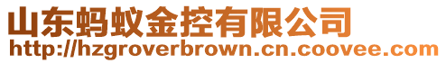 山東螞蟻金控有限公司