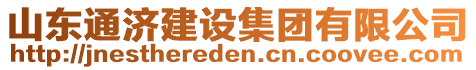 山東通濟(jì)建設(shè)集團(tuán)有限公司