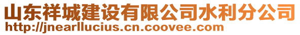 山東祥城建設有限公司水利分公司