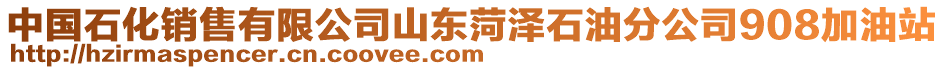 中國(guó)石化銷(xiāo)售有限公司山東菏澤石油分公司908加油站