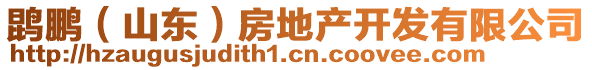 鹍鹏（山东）房地产开发有限公司