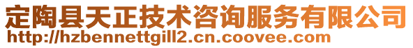 定陶县天正技术咨询服务有限公司