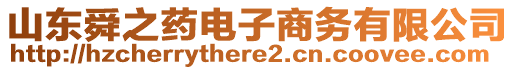 山东舜之药电子商务有限公司