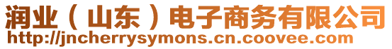 潤業(yè)（山東）電子商務(wù)有限公司