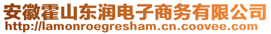 安徽霍山东润电子商务有限公司