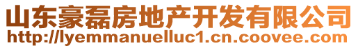 山東豪磊房地產開發(fā)有限公司