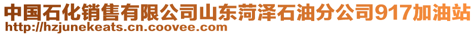 中國(guó)石化銷(xiāo)售有限公司山東菏澤石油分公司917加油站