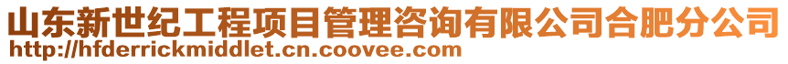 山東新世紀(jì)工程項目管理咨詢有限公司合肥分公司