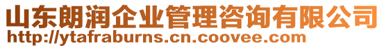 山東朗潤(rùn)企業(yè)管理咨詢有限公司