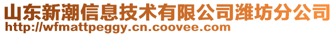 山東新潮信息技術有限公司濰坊分公司