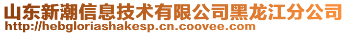 山東新潮信息技術(shù)有限公司黑龍江分公司