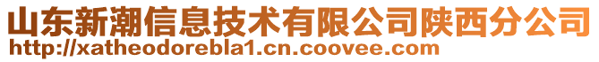 山東新潮信息技術(shù)有限公司陜西分公司