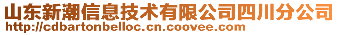 山東新潮信息技術有限公司四川分公司