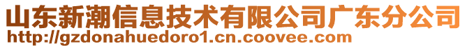 山東新潮信息技術(shù)有限公司廣東分公司