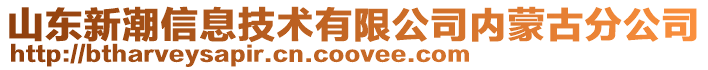 山東新潮信息技術有限公司內蒙古分公司
