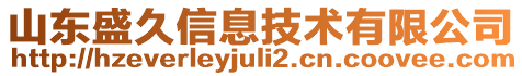 山東盛久信息技術有限公司
