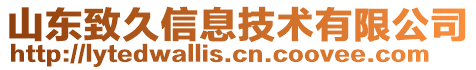 山東致久信息技術有限公司