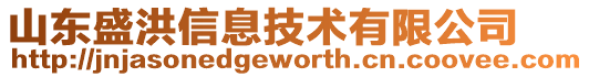 山東盛洪信息技術有限公司
