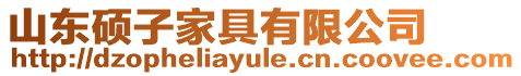 山東碩子家具有限公司