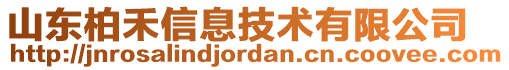 山東柏禾信息技術有限公司
